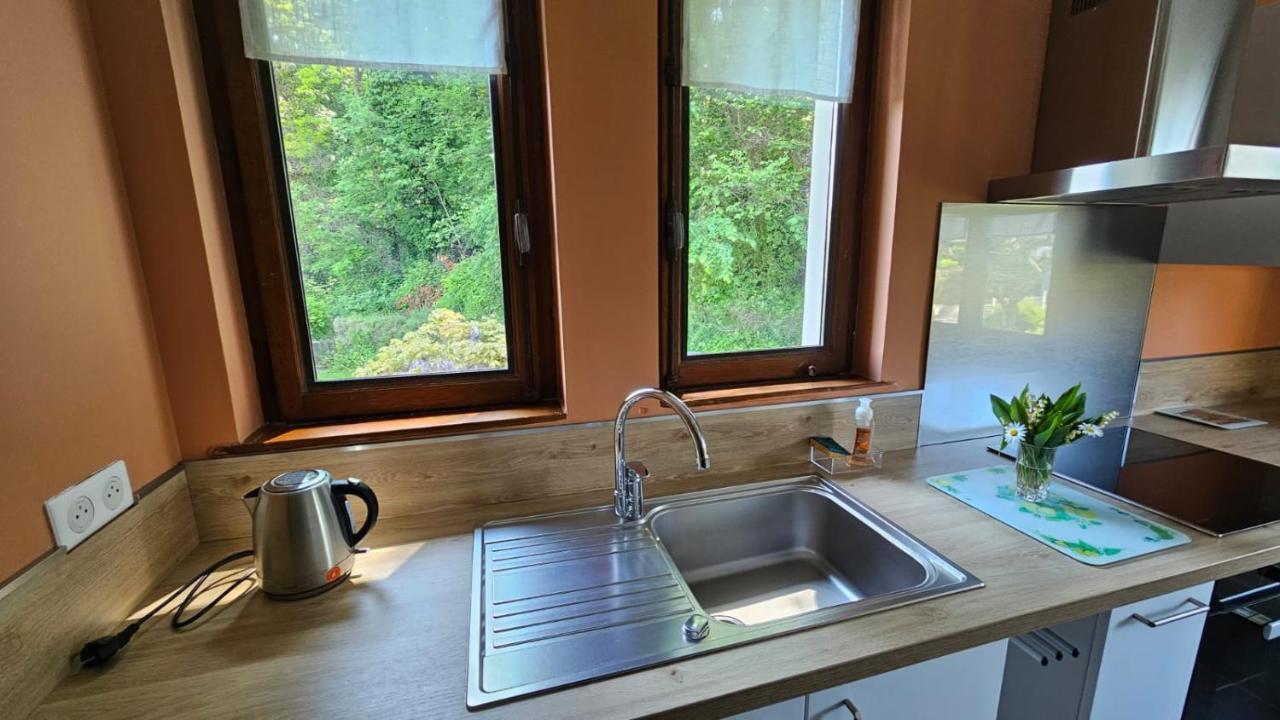 Villa La Moraine Thonon-les-Bains Dış mekan fotoğraf