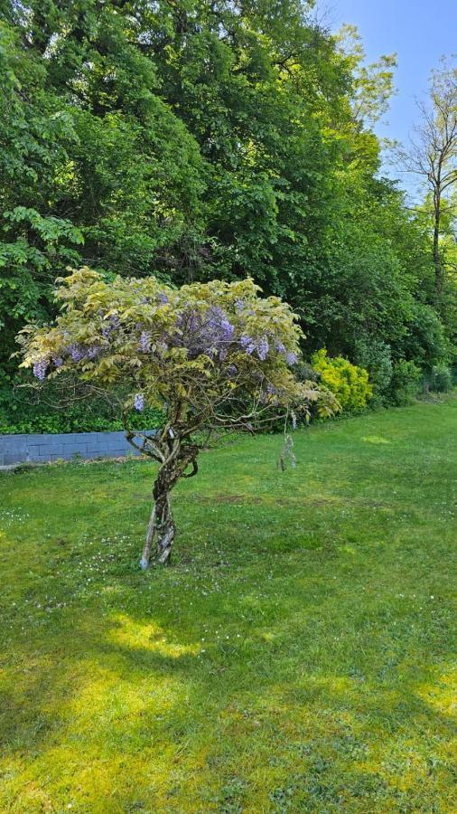 Villa La Moraine Thonon-les-Bains Dış mekan fotoğraf