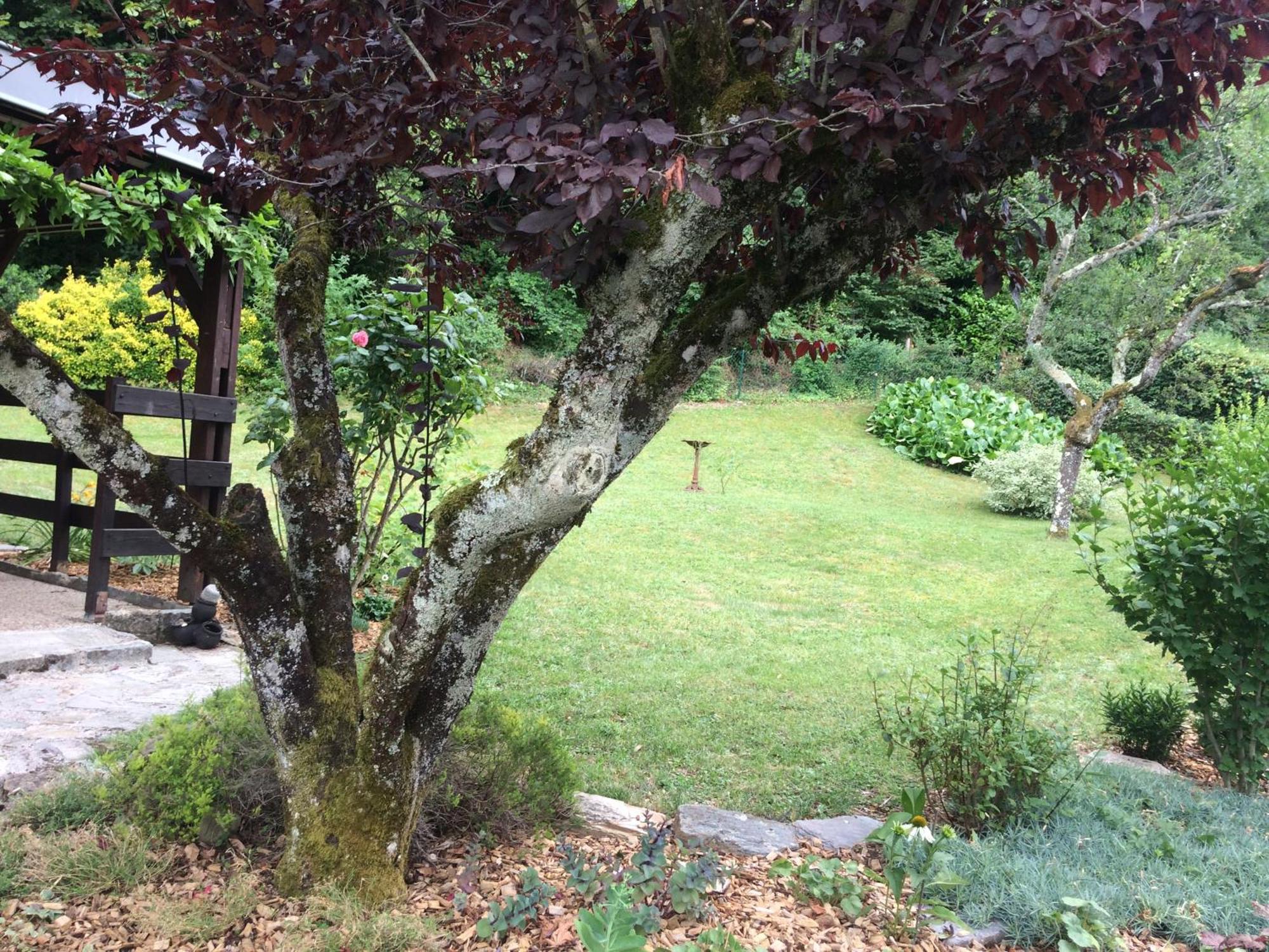 Villa La Moraine Thonon-les-Bains Dış mekan fotoğraf